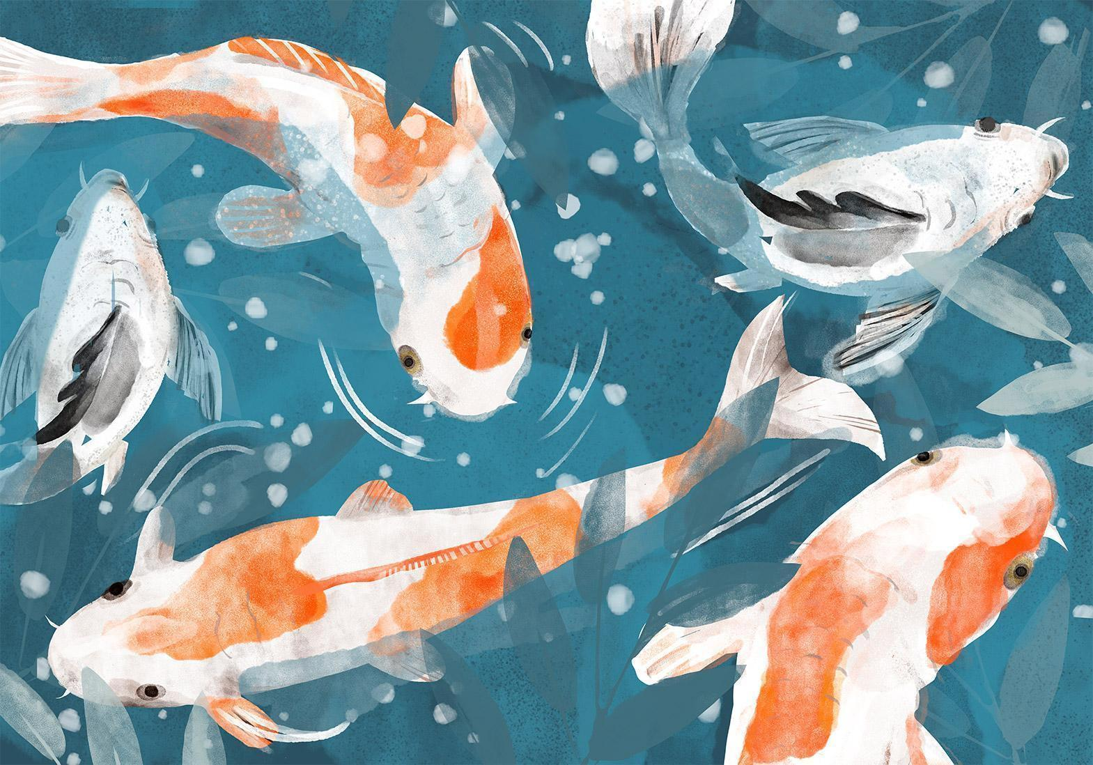 Wallpaper - Koi Fishes - Second Variant MyLibelula